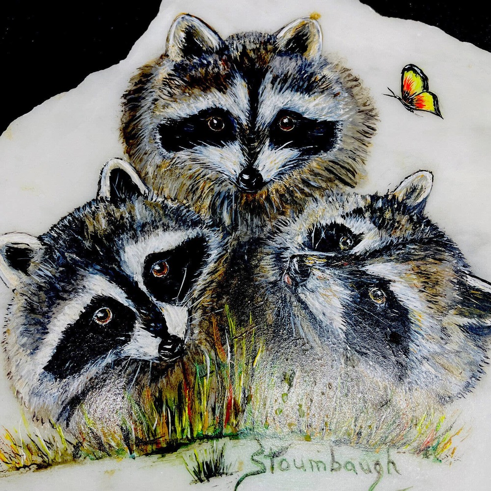 Racoon painting on granite slab original Stoumbaugh 8”x 8” OOAK